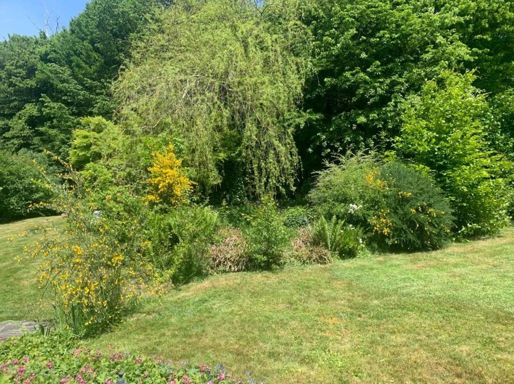 La Maison Ardoise Herbeumont Zewnętrze zdjęcie